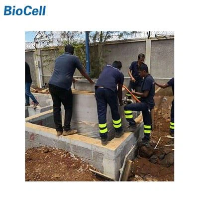 Mini-usine MBBR pour les eaux usées domestiques